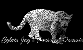 smallabwjag.gif (2601 bytes)